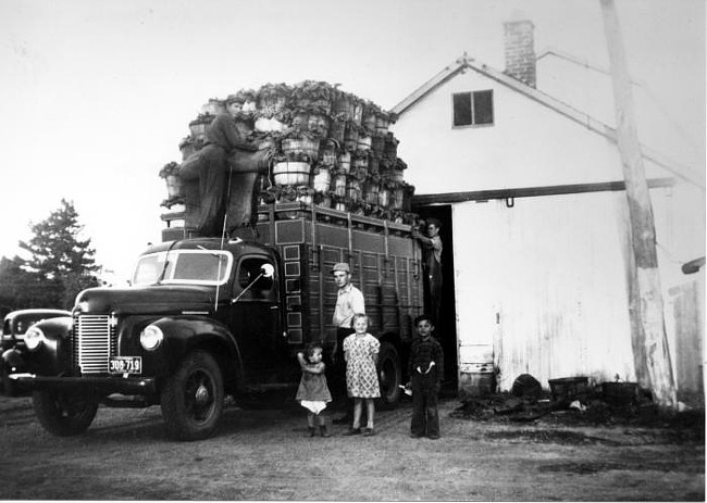 Van den Broucks with truckload of spinach