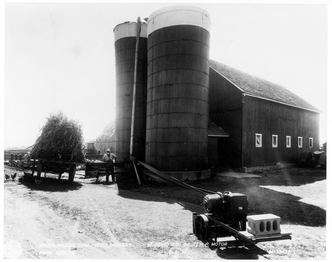 Chopping the corn, 1932