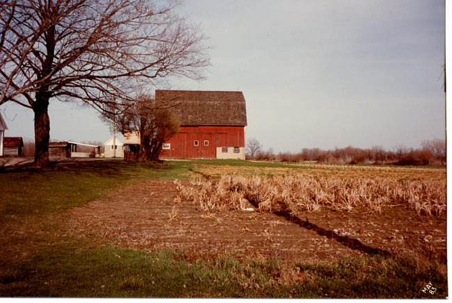 Haff Barn and field