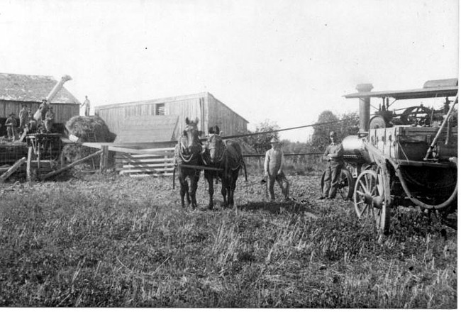 Threshing at Haff Farm