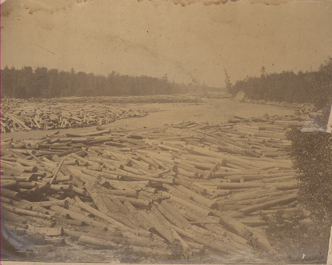 Log Jam on the Thunder Bay River