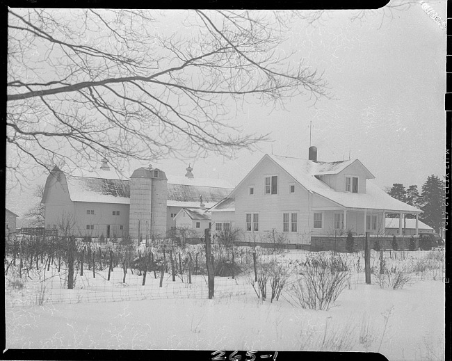 Winter scene of farmhouse, barns and gardens