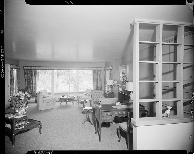 Residential living room interior with room divider