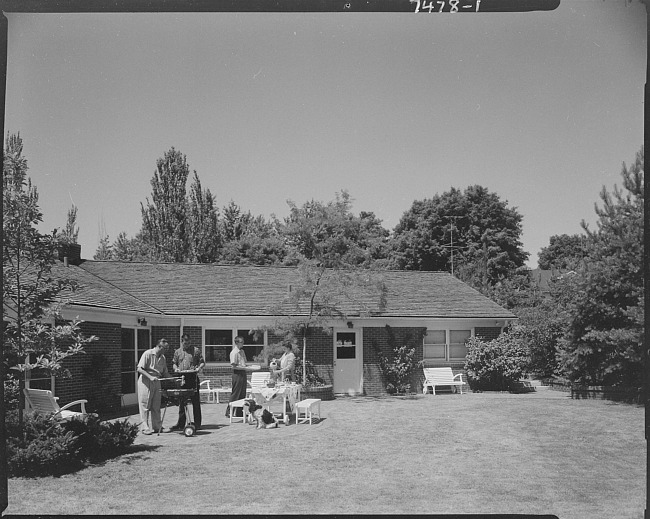 Backyard picnic