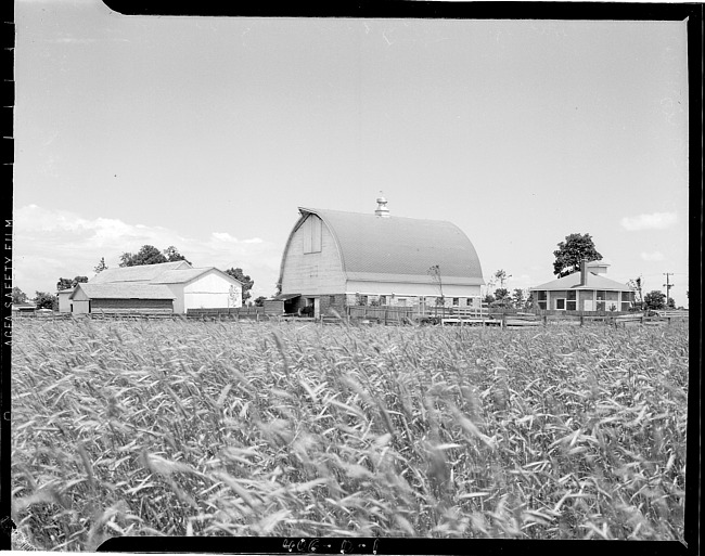 Farm, barns, field