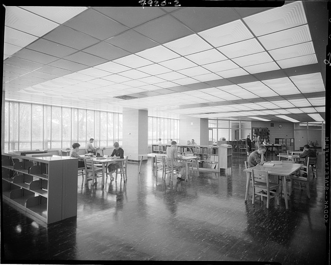 WMU students at the library