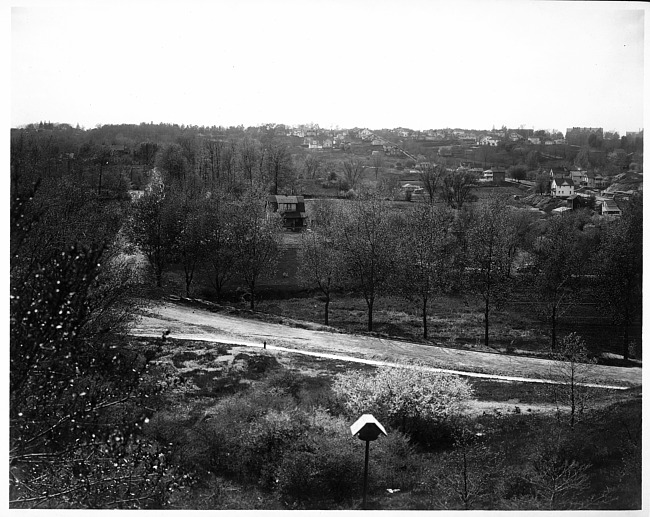 Outside view of houses, street and birdhouse from "Everyman's House", photograph