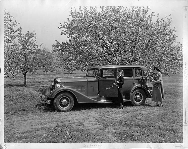 1934 Packard sedan, left side view, apple trees in background