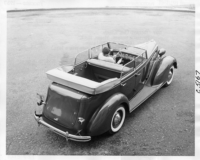 1937 Packard convertible sedan, three-quarter rear view, top folded, male behind wheel