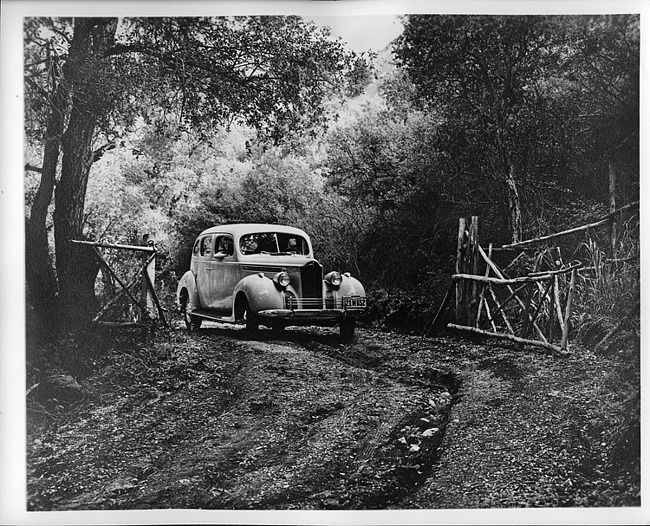 1940 Packard touring sedan, three-quarter front view, coming through rustic gate