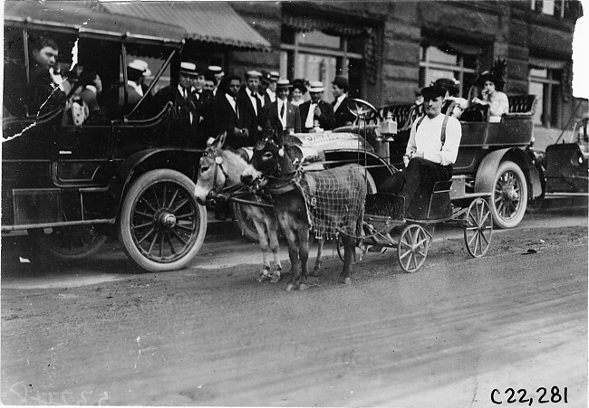 Man with two donkeys at 1909 Glidden Tour