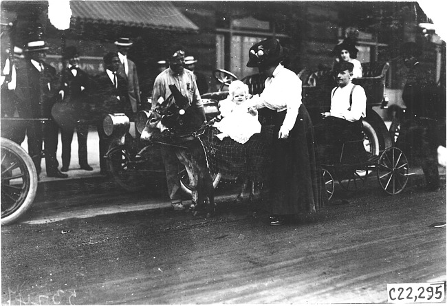 Chicago donkey team and baby at the 1909 Glidden Tour