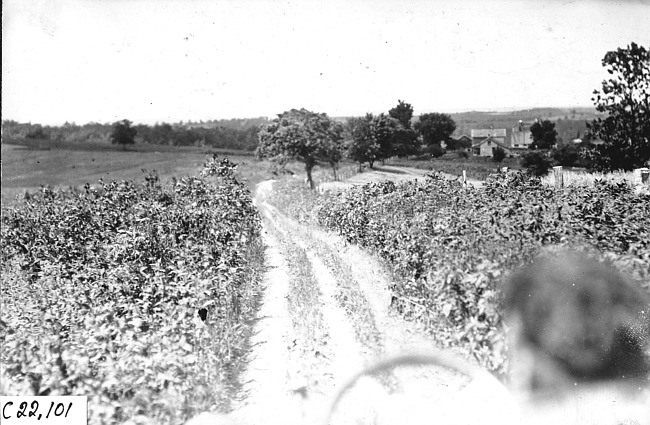 Driver's eye view of narrow road near Wonewoc, Wis., 1909 Glidden Tour