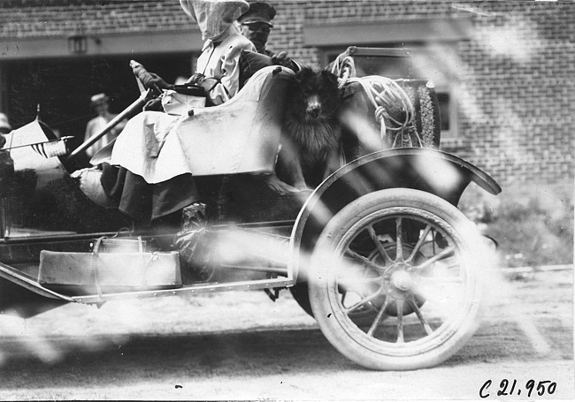 Couple with dog in car, at 1909 Glidden Tour