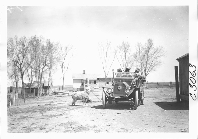 E.M.F. car parked next to sheep, on pathfinder tour for 1909 Glidden Tour