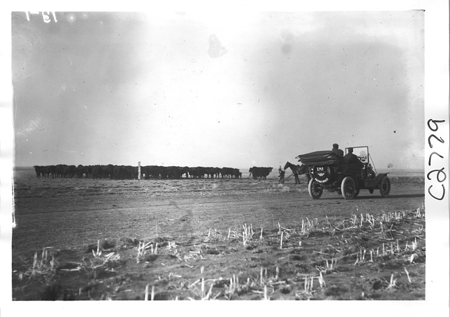 E.M.F. car on rural road near field with cows, on pathfinder tour for 1909 Glidden Tour