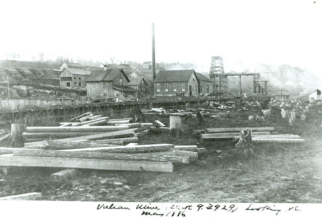 Northeast view of the East Vulcan Mine