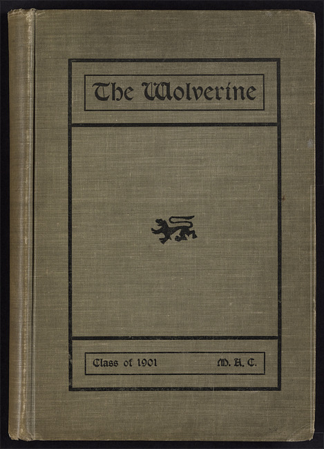 The wolverine