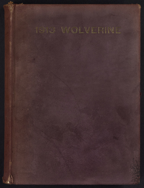 The 1913 wolverine