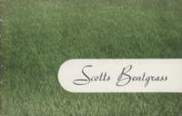 Scotts Bentgrass