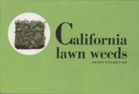 California Lawn Weeds... And What to Do About Them