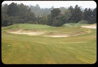 View from tee to green of #11 hole on the North Course of the Los Angeles Country Club, 1953