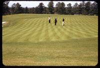 A massive golf green surface at the Peachtree Golf Club, Georgia, in 1955