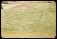 Fairy Ring control excavations on a green at the Druid Hills Golf Club, Georgia, 1955
