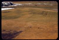 Snowmold research plots at the Toro Research Center in Minnesota, 1955