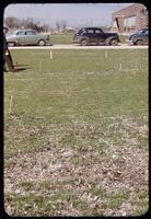 Leaf mulch test plots at the Toro Research Center, Minnesota, in 1953