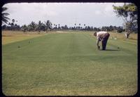 A large tee looking towards a green at the Indian Creek Country Club, Florida, 1953, with O. J. Noer viewing the puffy Tifton 57 surface