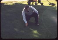 Eb Steiniger, in 1953, points to spot where Cohansey creeping bentgrass was selected for breeding at the Pine Valley Golf Club, New Jersey