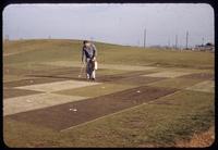 Jack Kolb applying an experimental snowmold control on the research plots, Toro Research Center, Toro Headquarters, Minnesota, 1953