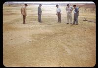 Five men examine a golf tee nearly buried by sand with very little grass showing, Midland, Texas, 1951