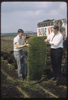 Drs. Paul Rieke and Jim Beard hold a vertical strip of sod at Halmich's Sod Farm, Michigan, 1967