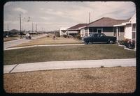 Suburban front yards in Houston looking mid-yard along the street, with fertilized and unfertilized St. Augustinegrass lawns, and concrete driveways transecting, 1952