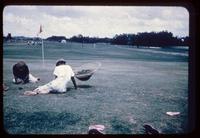 Barefoot sitting men removing crowfoot weeds by hand on a golf green at the BraeBurn Country Club in Houston, Texas, in 1952