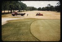 View from beyond #14 green back up fairway showing fertilization in process on bermudagrass, Houston, 1952