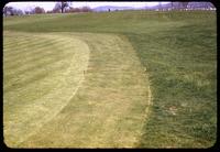 Mowing variations between rough, collar, and green on hole No. 9 at Lehigh Valley, Pennsylvania, 1954