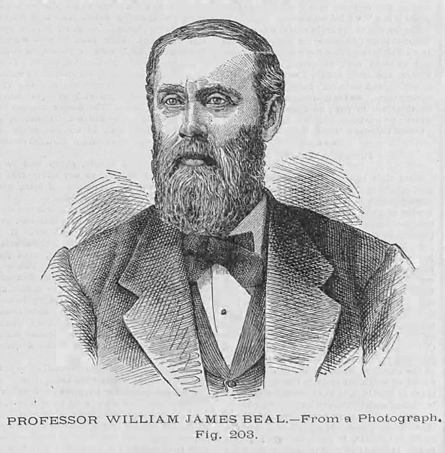 Line drawing of William James Beal, approximately 47 years old. Caption reads PROFESSOR WILLIAM JAMES BEAL. —From a Photograph. Fig. 203