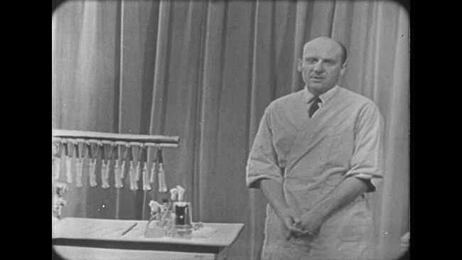 Dry freezing of vaccine